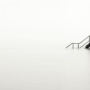 Offline Ads, Online Loss: Why Search Gaps Kill Campaigns
